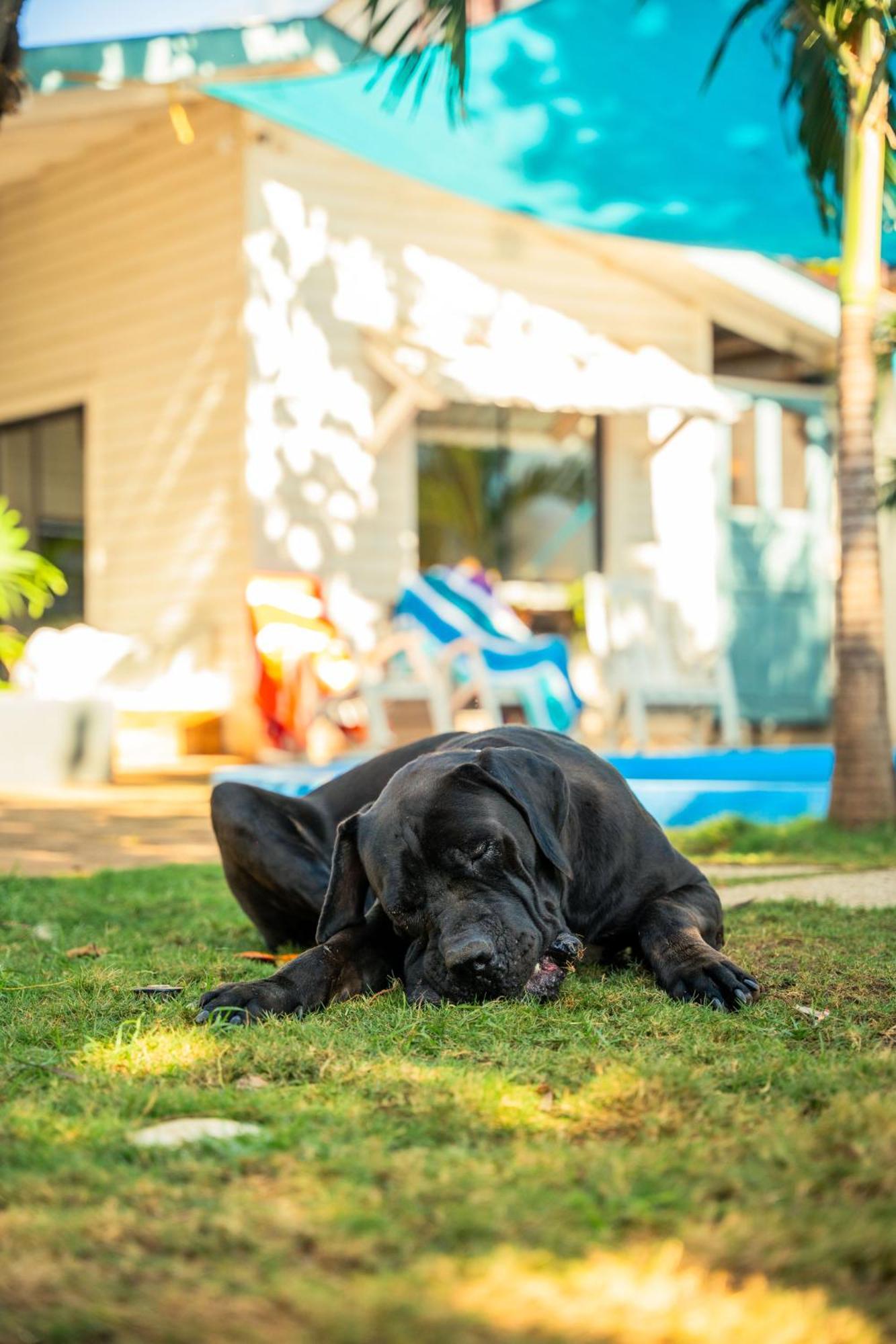 Jakes On The Bed & Breakfast Las Penitas